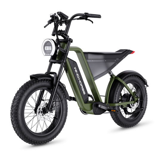 WINDHORSE Moped Electric Bike for Adults with 1000W Motor, 60 Miles 20MPH Commuter E-bike, 48V 18AH 20" Fat Tires Beach Cruiser Bike, Hydraulic Brake Dumping Power Outage Motorized Bicycles, D3