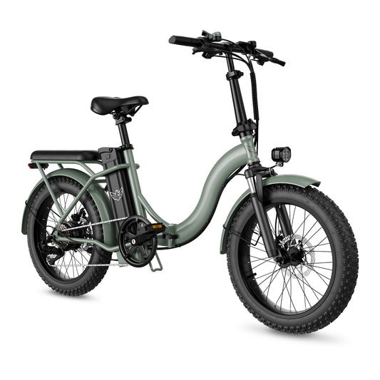 WINDHORSE Electric Bike with Dual Seat Cushions, Foldable Commuter Ebike with 350W Motor, 30 Miles 20 MPH 36V 10AH Urban Motorized Bicycles for Adults, 20" Fat Tires Snow Bicycle, Eclipse E20