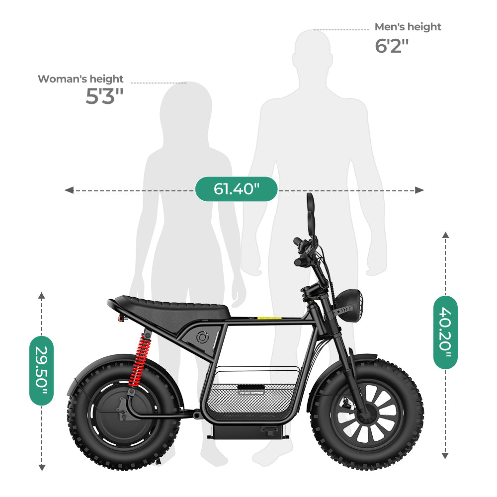 Windhorse D1 size and fit