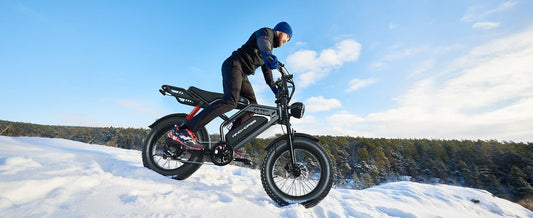 City Commuter E-Bike vs All-Terrain  Electric Bike: Which One Should You Choose? - WINDHORSE