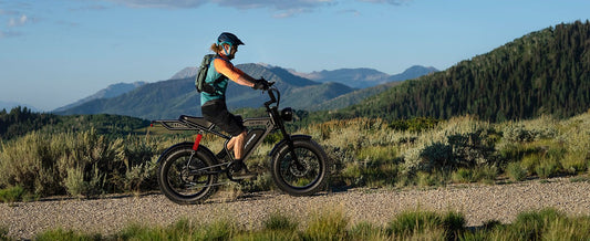 Which ebike is the climbing master that can conquer any slope - WINDHORSE