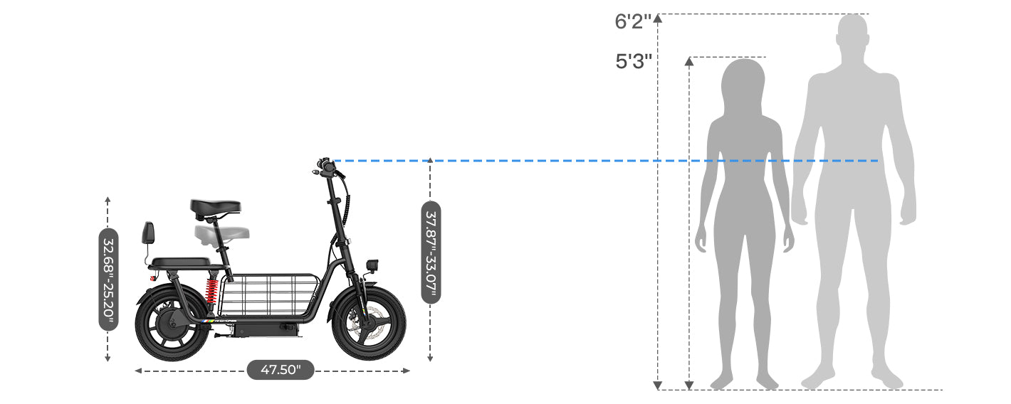 C3PRO SIZE