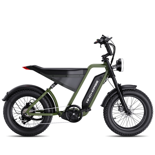 WINDHORSE Bicicleta eléctrica para adultos con motor de 1000 W, bicicleta eléctrica de cercanías de 60 millas y 20 MPH, 48 V 18 AH, descarga de frenos hidráulicos Bicicletas motorizadas por corte de energía, D3