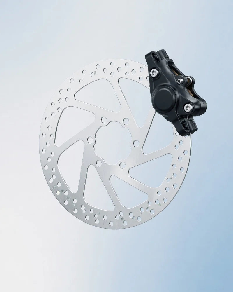 Dual disc brakes