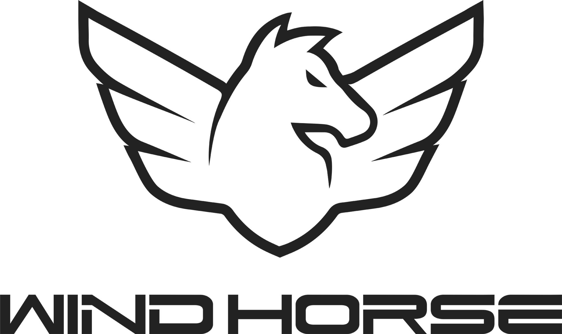 Controller - WINDHORSE