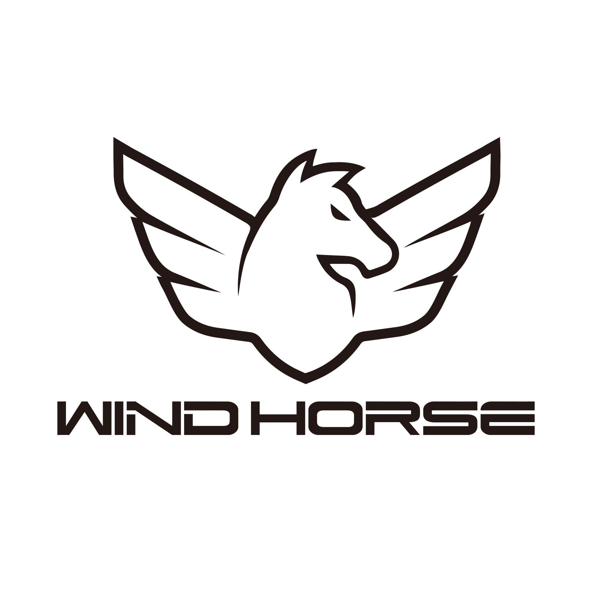 Display - WINDHORSE