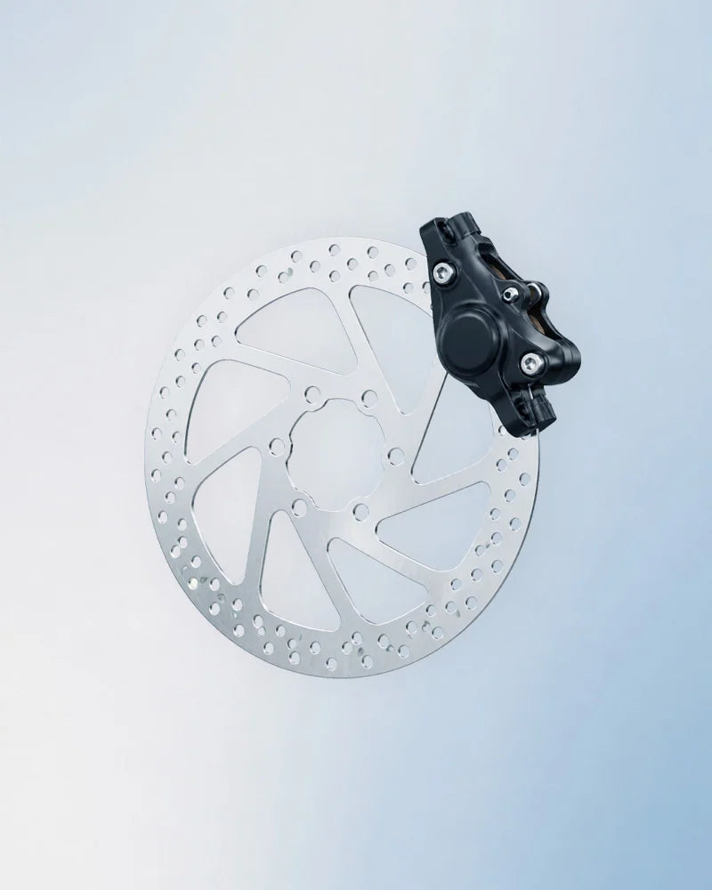 Dual disc brakes
