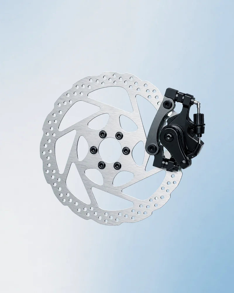 Dual disc brakes
