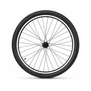 Whole Front Wheel view 2