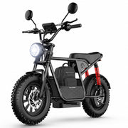 Windhorse D1 view 2