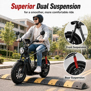 Windhorse D1 view 7