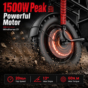 Windhorse D1 view 4