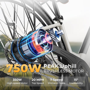 Windhorse F2 - WINDHORSE