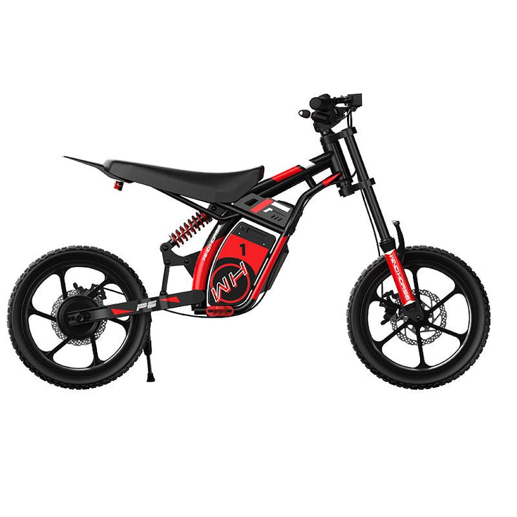 Windhorse P6