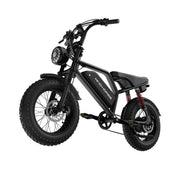 Windhorse V8 Mini view 11