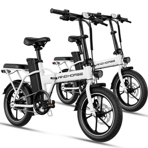 Windhorse W2A Combo - WINDHORSE