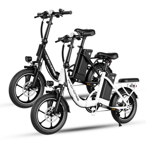 Windhorse W2B Combo - WINDHORSE