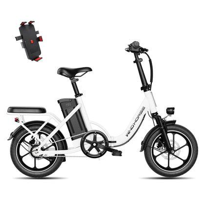 Windhorse W2B - WINDHORSE