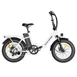 Windhorse W4B - WINDHORSE