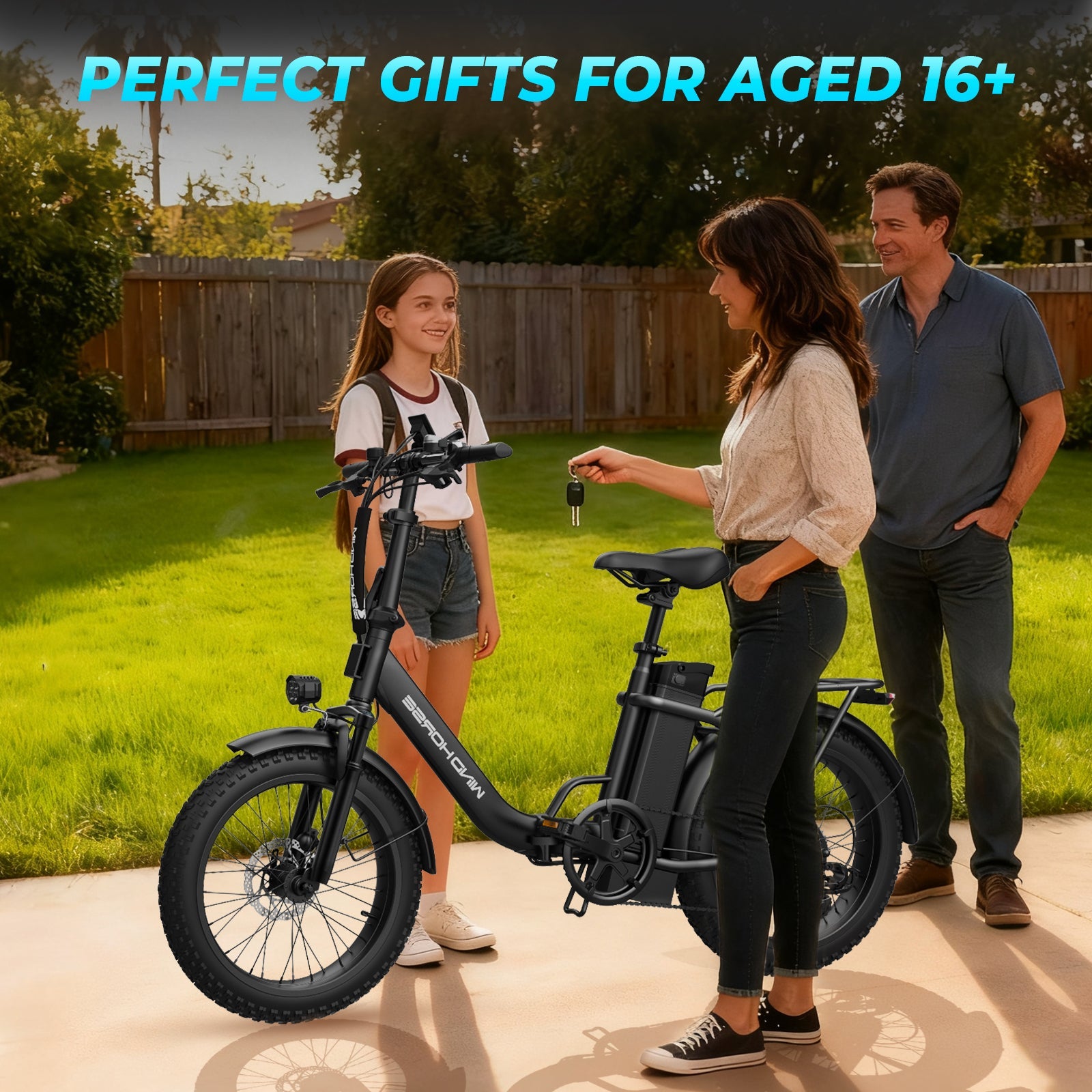 Windhorse W4B - WINDHORSE